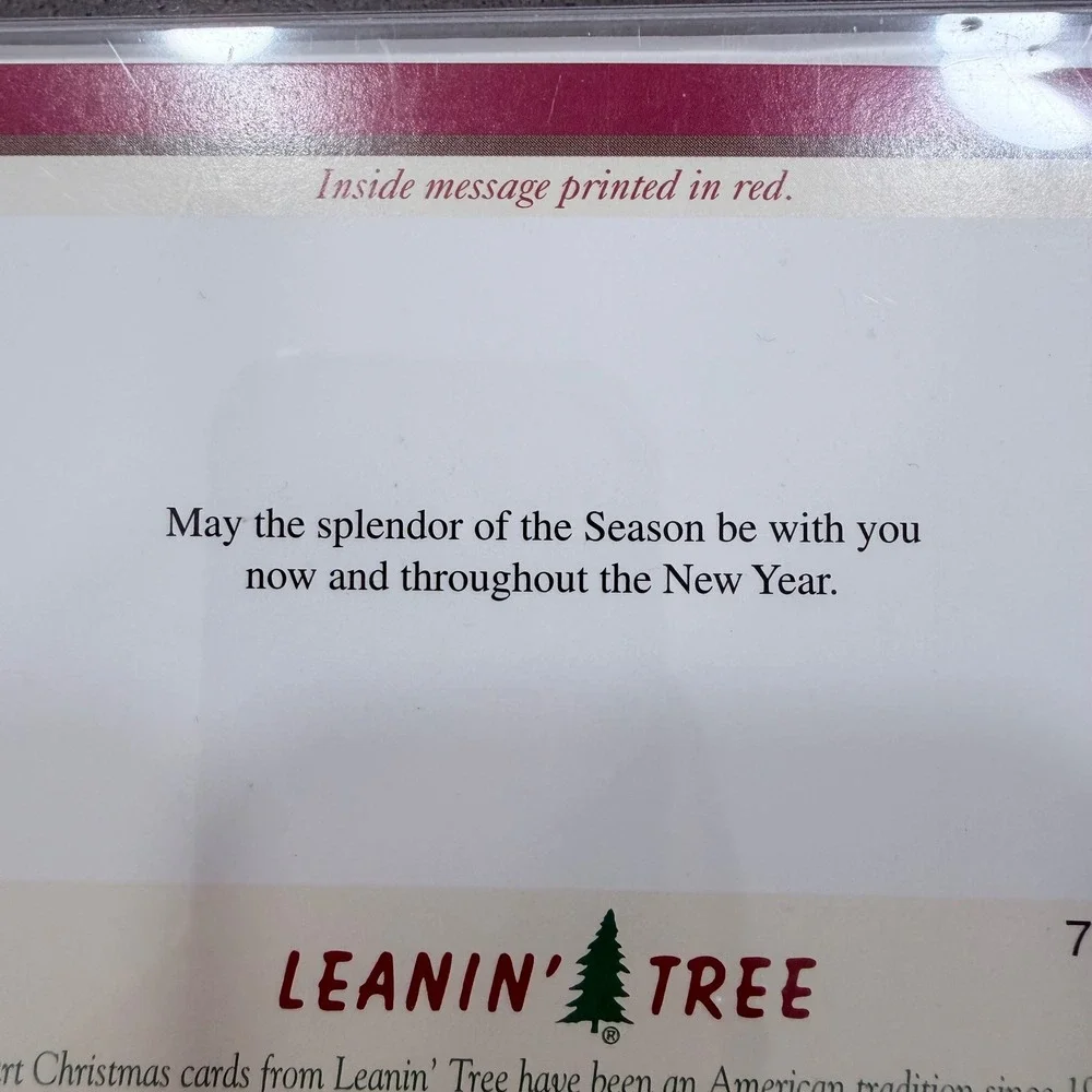 Leanin' Tree Christmas Cards Charles H Pabst Desert Mountain Saguaro Set of  8